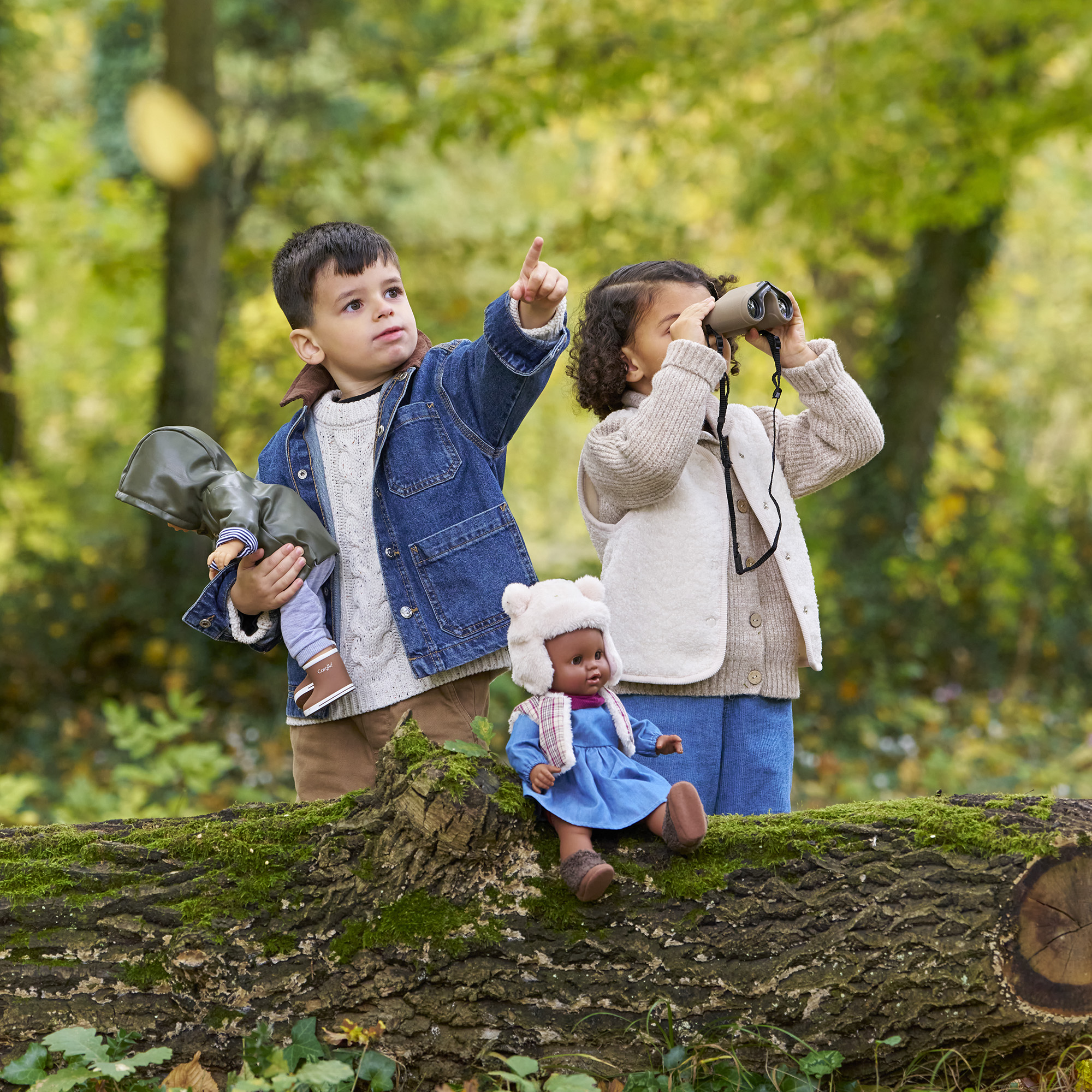 DÉVELOPPEMENT DU LANGAGE
