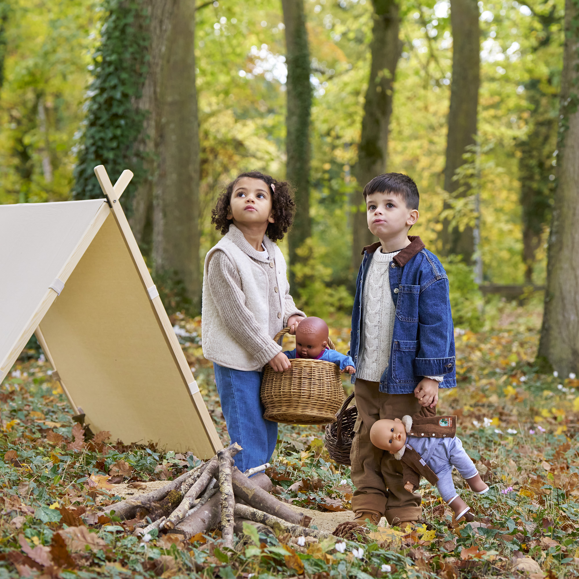 DÉVELOPPEMENT DU LANGAGE