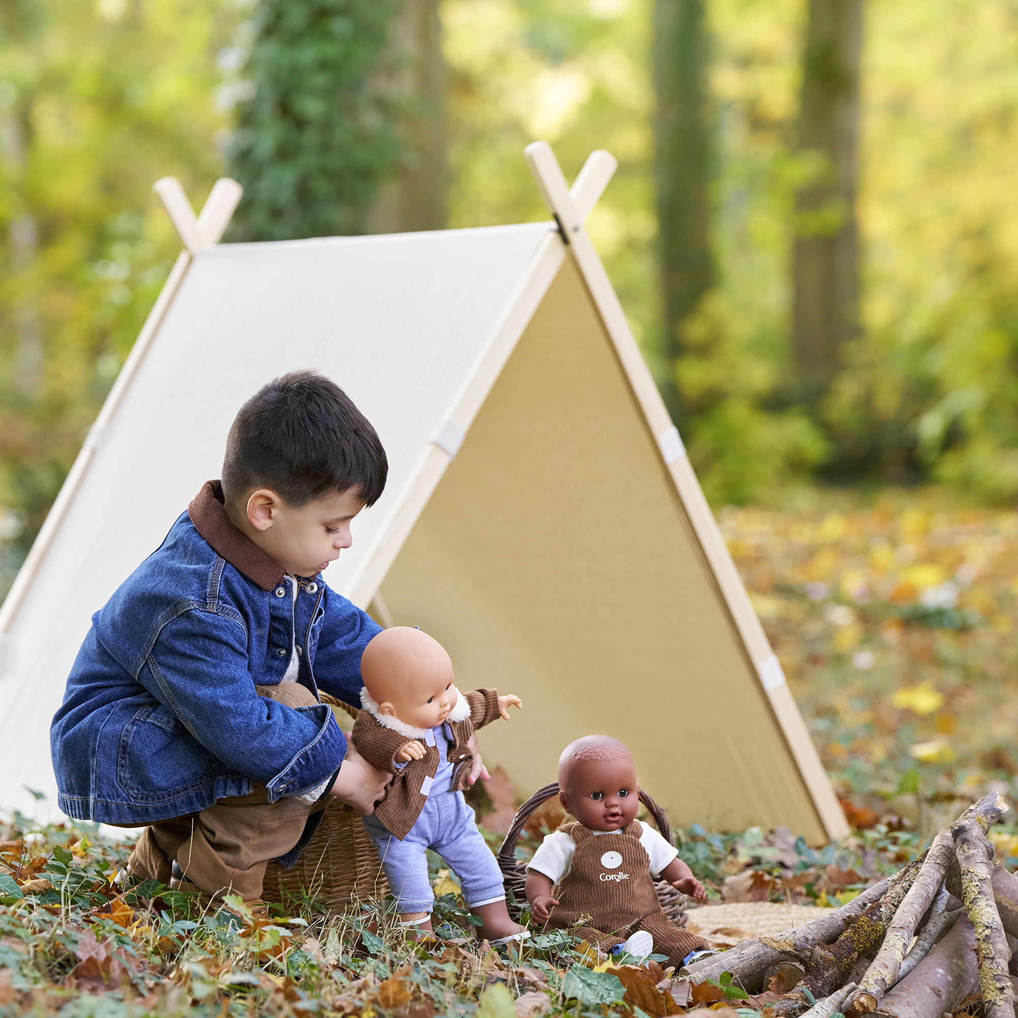 DÉVELOPPEMENT DU LANGAGE